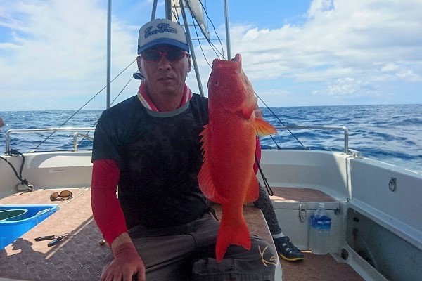 ���\���@�A�J�W��