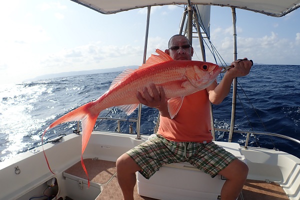 ���\���@�[�C�ނ�