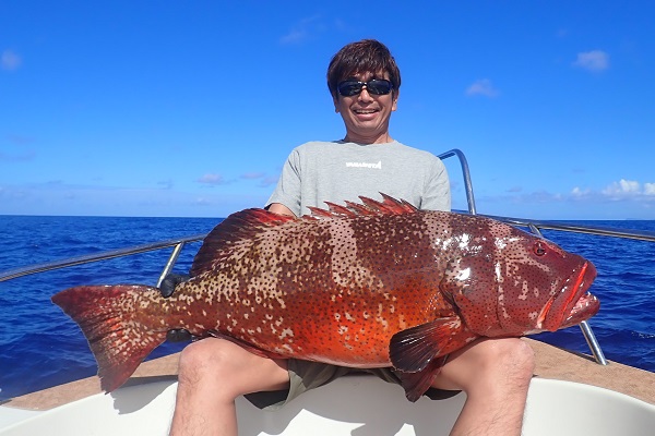 �R�N�n���A��