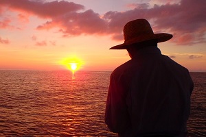 ���\���ނ�