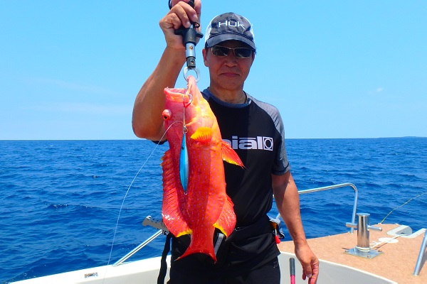 ���\���@�ނ�