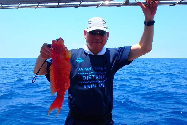 ���\���@�ނ�