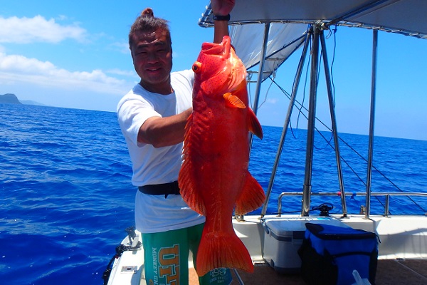 ���\���@�ނ�