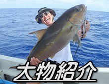 �J���p�`�W�M���O