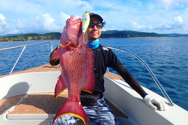 ���\���@�ނ�