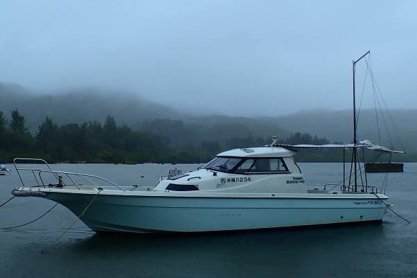 ���\���@�ނ�D