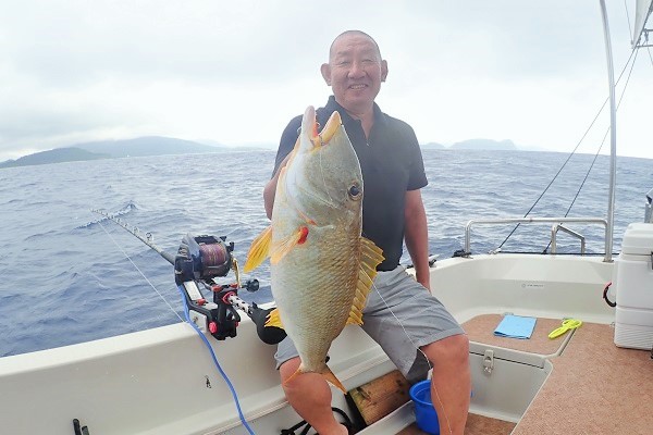 ���\���ނ�